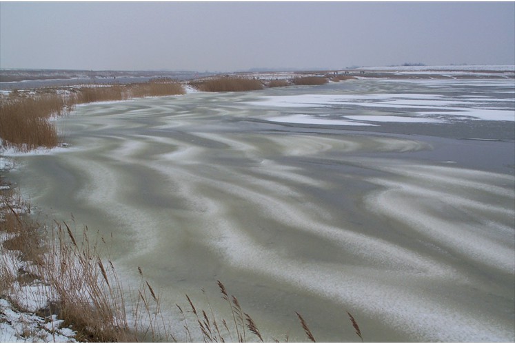 Leybucht im Winter