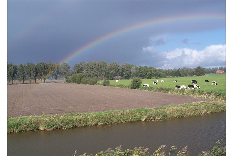 Blick über Feld und Wiesen