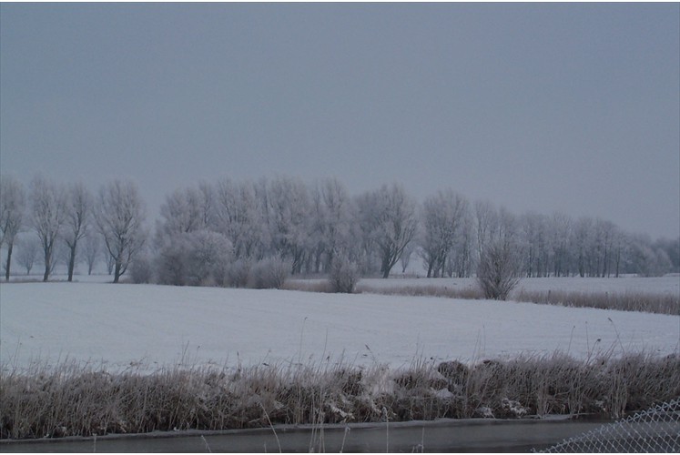 kiek wiet bei einer Lesepause