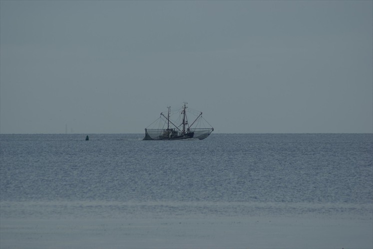 Krabbenfischer vor der Leybucht