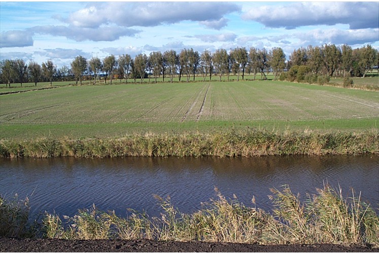 Ausicht Terasse Kiek Wiet & Wiesenblick